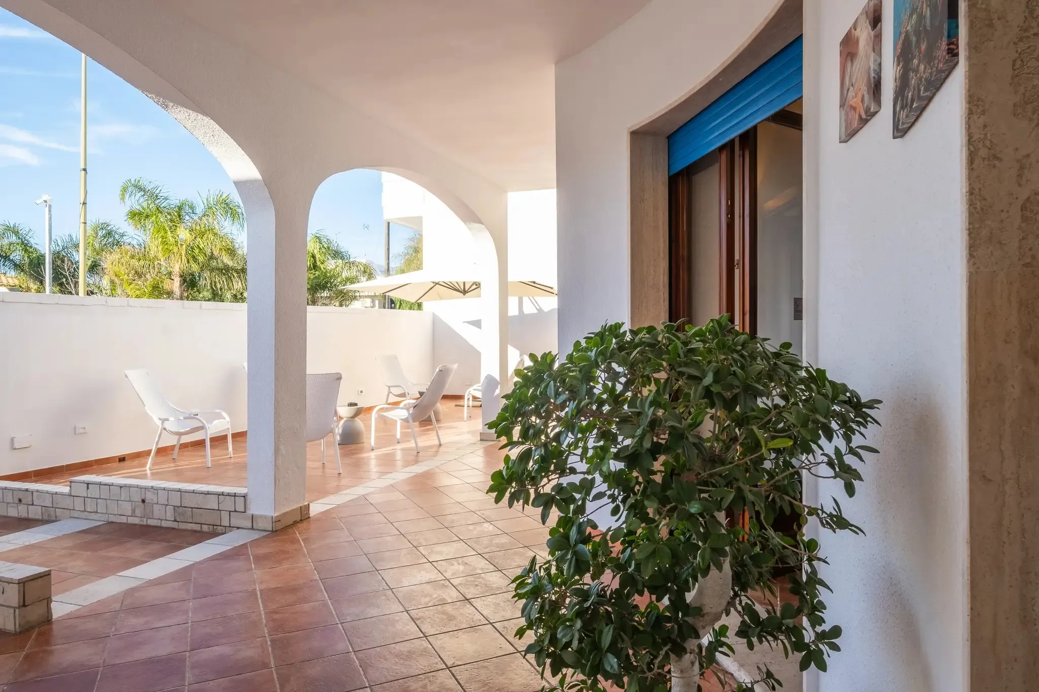 Giardino - atmosfera serale